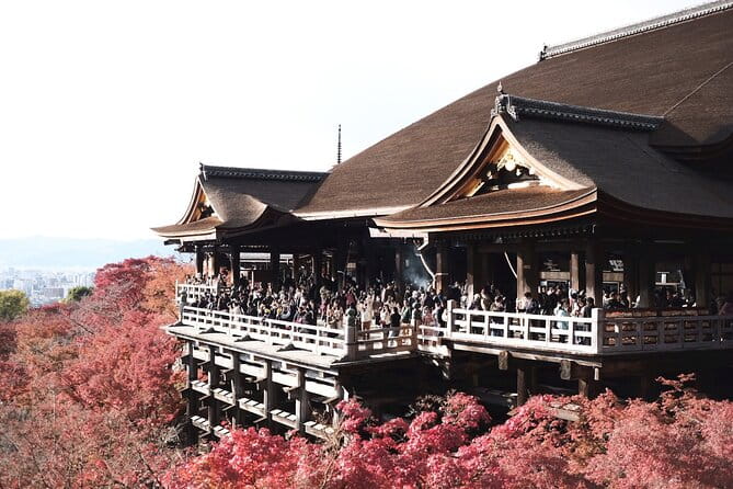 Kyoto Exclusive Private Tour With Vehicle & Professional Guide - Transportation and Logistics