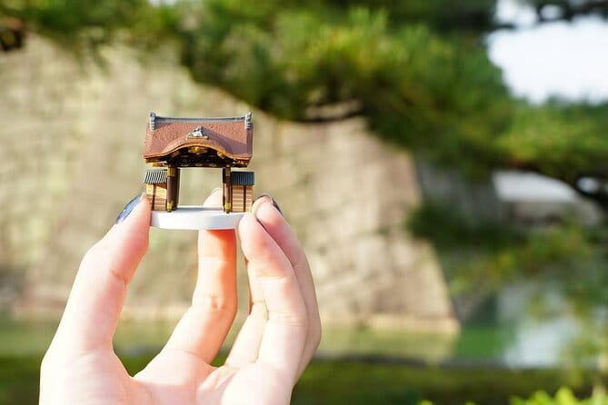 Kyoto Full Day Sightseeing Tour From Osaka or Kyoto - Expectations and Accessibility