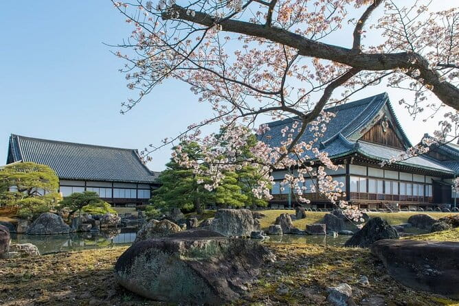 Kyoto Full Day Sightseeing Tour From Osaka or Kyoto - Why Choose This Tour