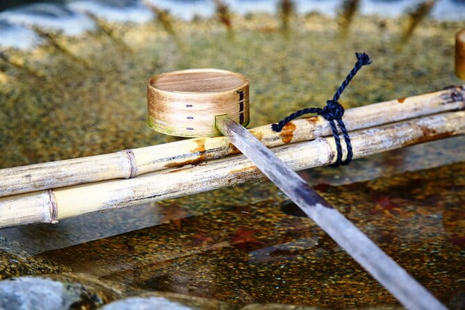 Kyoto Full Day Tour With a Local Travel Companion - Itinerary and Suggested Stops