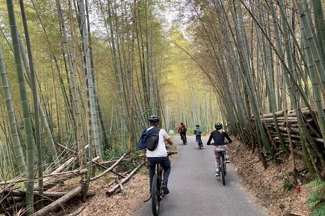 Kyoto Gion & Fushimi E-Bike Tour With Hotel Transfer - The Sum Up