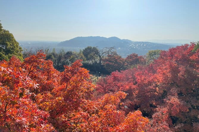 Kyoto Half Day Yamazaki Whisky Museum and Asahi Art Museum - Getting to the Meeting Point