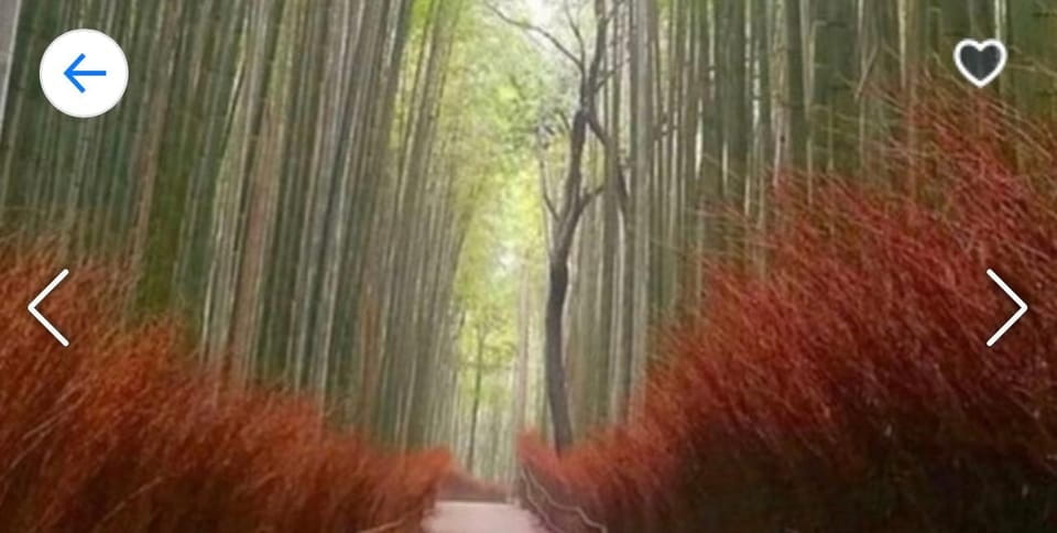 Kyoto: Highlight Tour With English-Speaking Driver - Key Points