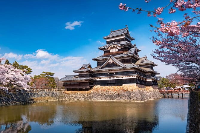 Kyoto Highlights Eastern Western Northern and Southern Routes - Western Route: Castles and Bamboo Grove