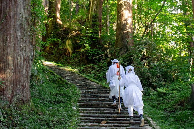 Kyoto Highlights Eastern Western Northern and Southern Routes - Southern Route: Torii Gates and Sake District