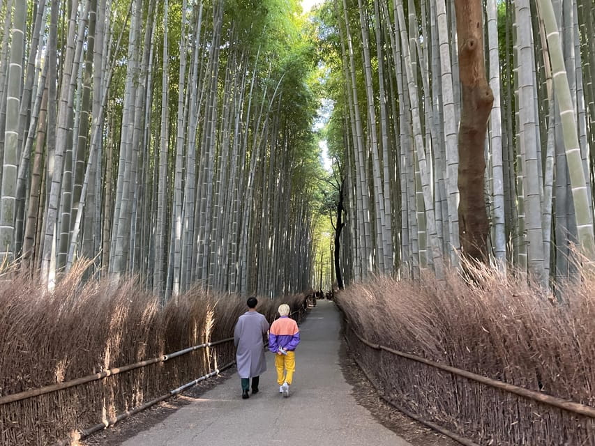Kyoto: Highlights of Arashiyama in 2 Hours - Guided Tour - Tour Policies and Cancellation