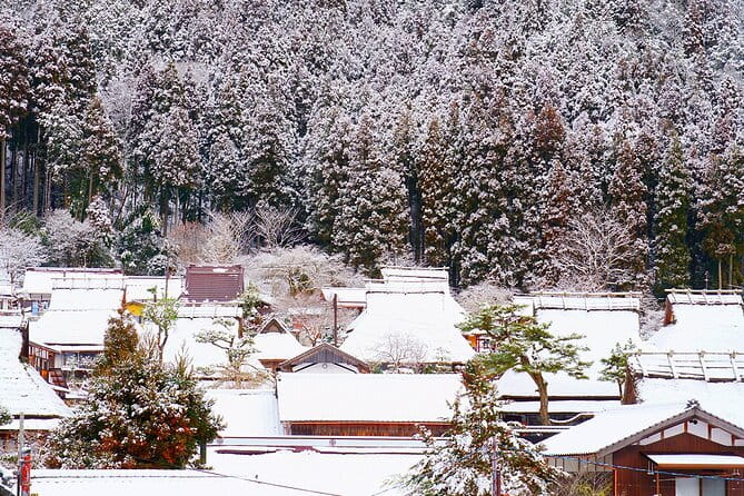 Kyoto Ine Bay, Amanohashidate and Miyama Village Tour From Osaka - Booking and Cancellation Policy