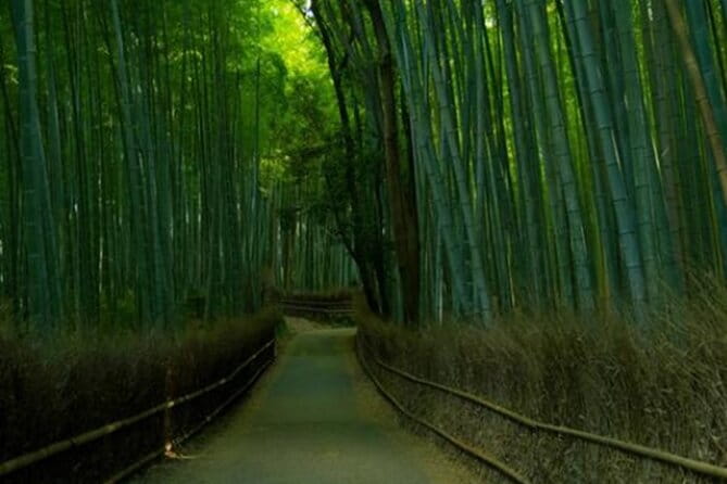Kyoto ITALIAN GUIDE Golden Pagoda Bamboo Forest Dry Garden - Meeting and Pickup Details