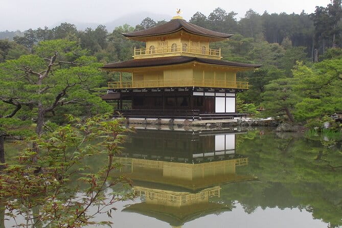 Kyoto ITALIAN GUIDE Golden Pagoda Bamboo Forest Dry Garden - Itinerary Highlights
