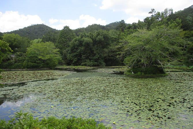 Kyoto ITALIAN GUIDE Golden Pagoda Bamboo Forest Dry Garden - Inclusions and What to Expect