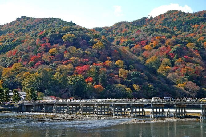 Kyoto ITALIAN GUIDE Golden Pagoda Bamboo Forest Dry Garden - Tips for Your Visit