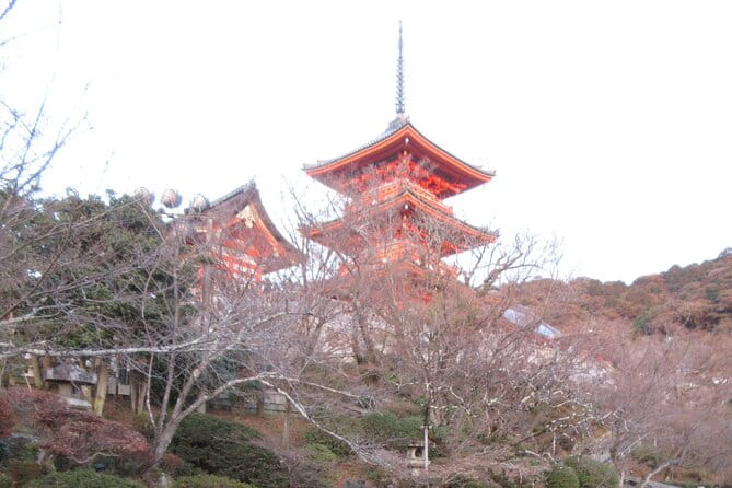 Kyoto ITALIAN GUIDE, Kiyomizu Temple Gion Pagoda Maiko Geisha - Health and Safety Guidelines