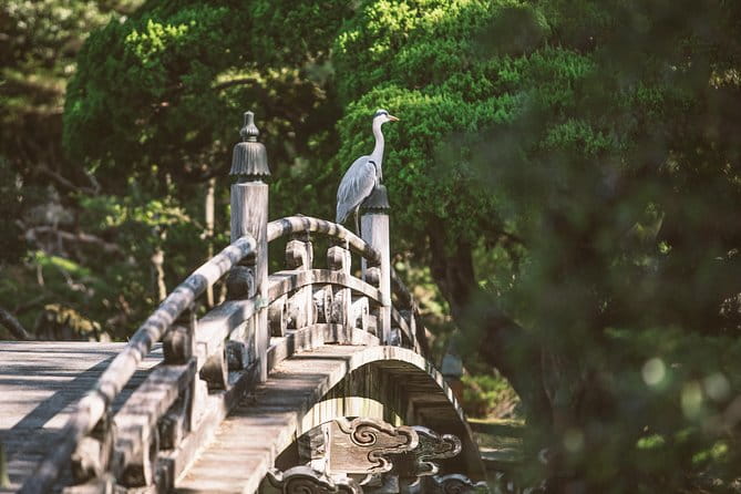 Kyoto & Nara Day Trip -Golden Pavilion & Todaiji From Kyoto/Osaka - Todaiji Temple and the Great Buddha