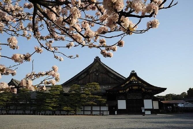 Kyoto & Nara Day Trip -Golden Pavilion & Todaiji From Kyoto/Osaka - Kasuga Shrine and the Deer of Nara Park