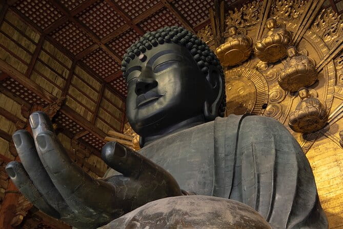 Kyoto & Nara Private Tour From Osaka Kyoto Hotel Pick-Up - Customer Reviews and Testimonials