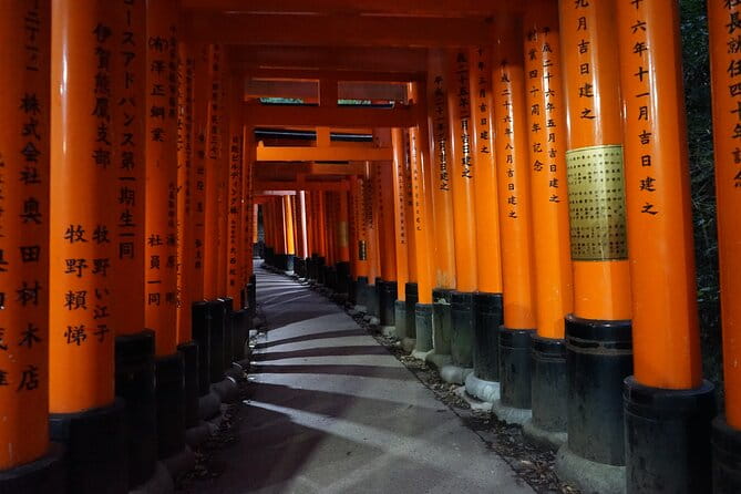Kyoto Night Walking Guided Tour at Fushimi Inari Shrine - Accessibility Features