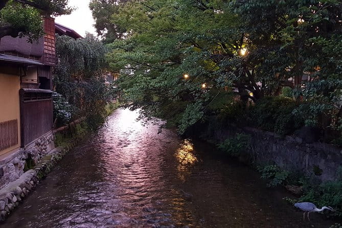 Kyoto Nighttime All-Inclusive Eats and Streets, Gion and Beyond - Guest Reviews and Feedback