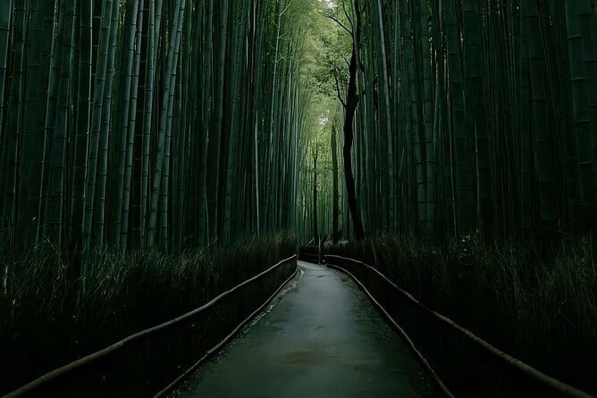 Kyoto: One Day Private Car Tour - Pickup and Drop-off Details