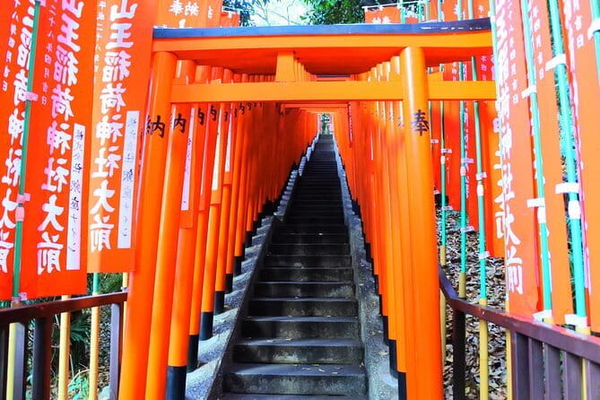 Kyoto: One Day Private Car Tour - Customer Reviews and Testimonials