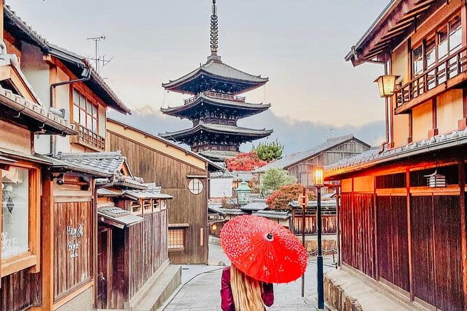 Kyoto/Osaka: Kyoto and Nara Customized Private Guided Tour - Transportation and Accessibility Features