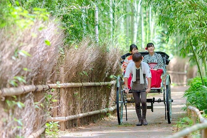 Kyoto/Osaka: Kyoto and Nara Customized Private Guided Tour - Highlights of Kyoto and Nara Attractions