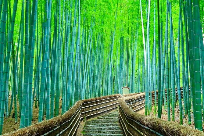 Kyoto/Osaka: Kyoto and Nara Customized Private Guided Tour - Frequently Asked Questions