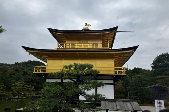 Kyoto, Osaka, Nara, Kobe Private Tours - Accessibility Features