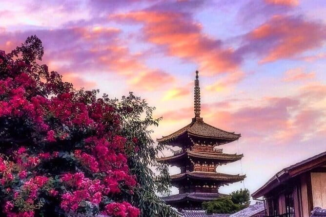 Kyoto, Osaka, Nara Private Tour by Car English Driver Guide - Itinerary Highlights