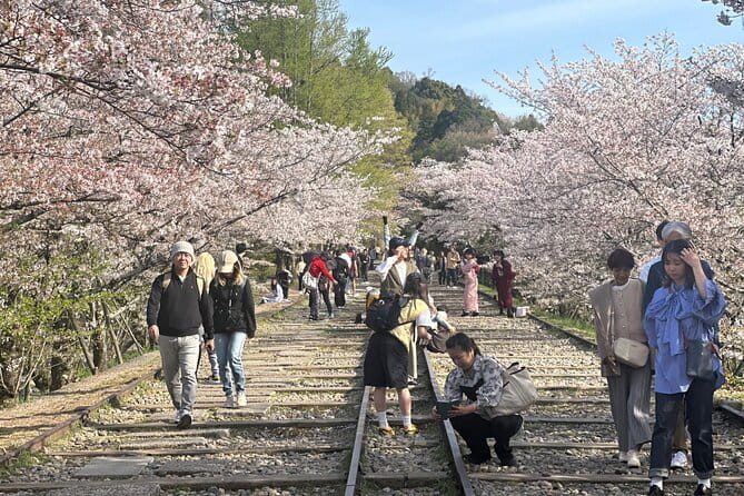 Kyoto Osaka Nara (We Fully Booked up to ) - Planning Your Visit: What to Expect