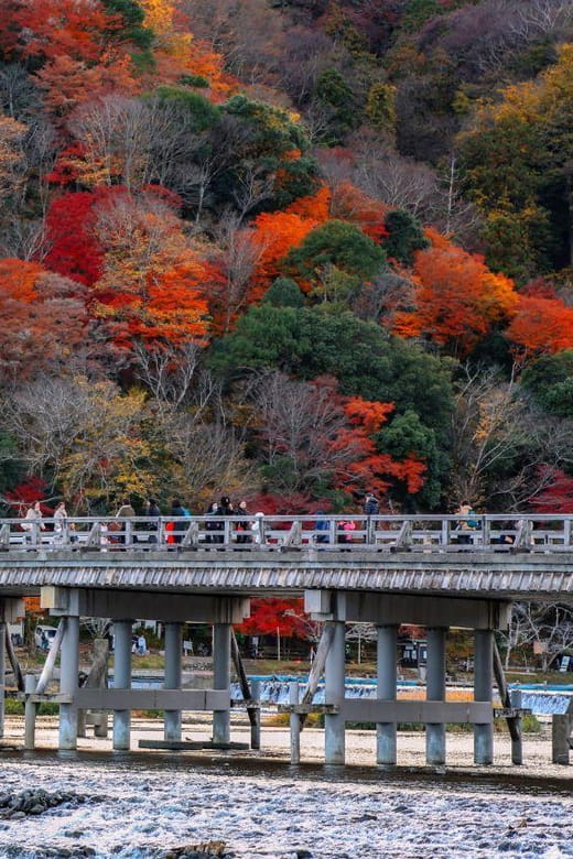 Kyoto/Osaka: Sanzen-in and Arashiyama Day Trip - Transportation and Inclusions