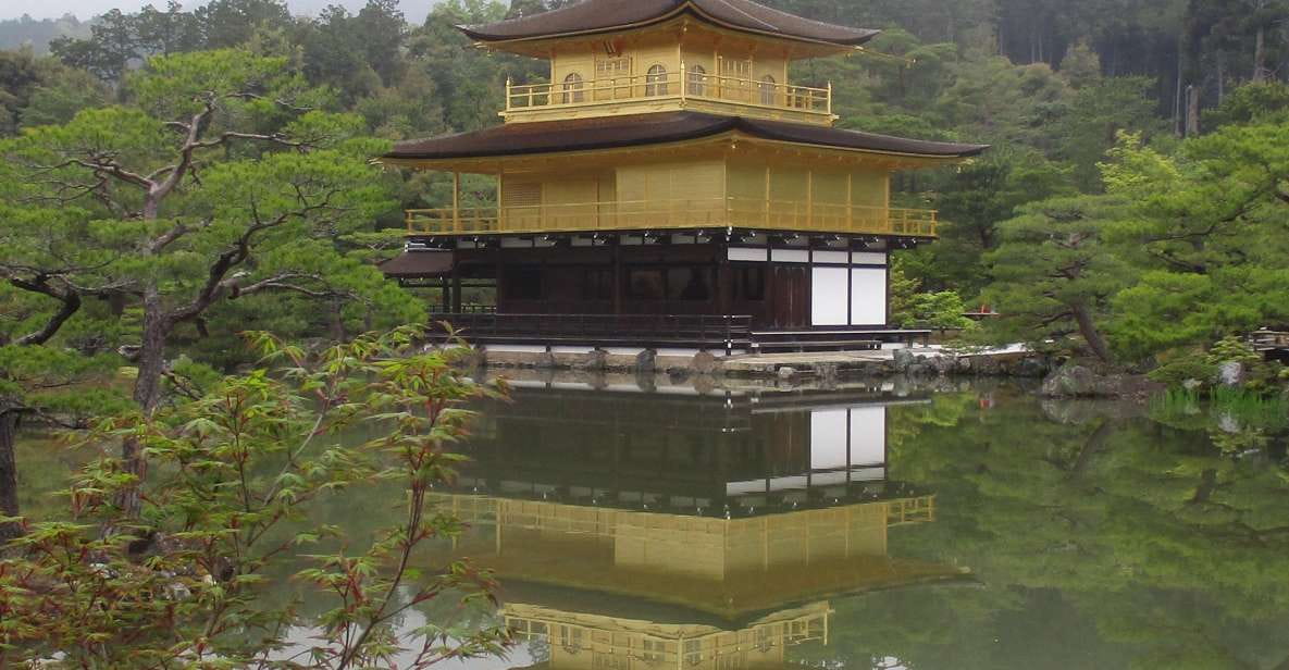 Kyoto: Pagoda Doro and Bamboo Forest (Italian Guide) - Key Points