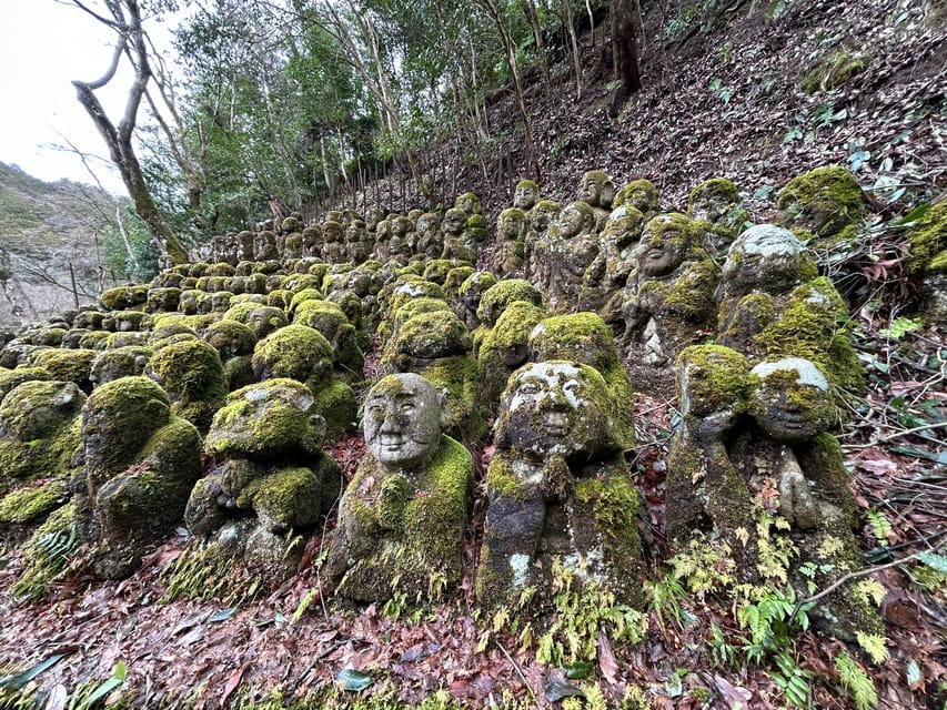 Kyoto Private Car Tour Review - Travel Experience