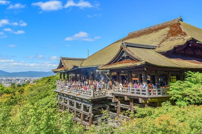 Kyoto Private Day Trip - Enjoy Your First-Time Visit to Kyoto! - Accessibility and Participation Requirements