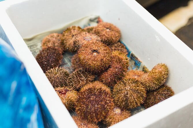 Kyoto Private Food Tour With A Guide - Key Points