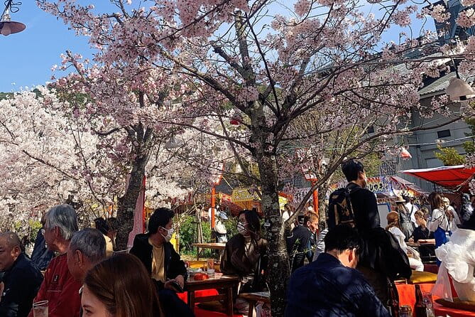 Kyoto Private Guided Beauty Tour - Meeting and Pickup