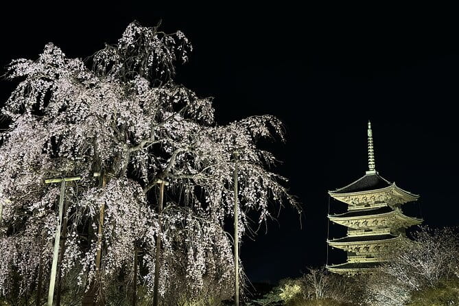 Kyoto/ Private Tour Delivered and Guided by a Top-Tier Driver - Pickup Information