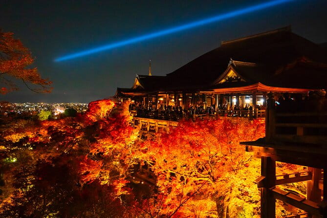 Kyoto/ Private Tour Delivered and Guided by a Top-Tier Driver - Our Exceptional Driver: Your Guide to Kyoto