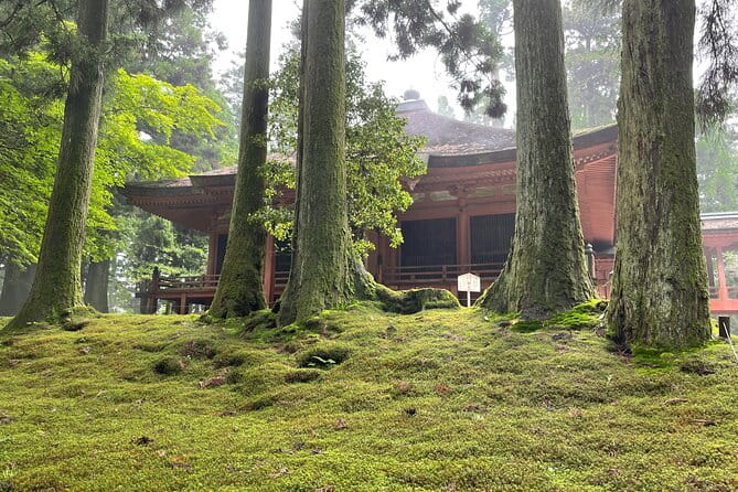 Kyoto: Private Tour of World Heritage Enryakuji and Monks Town - Meet Your Expert Guide