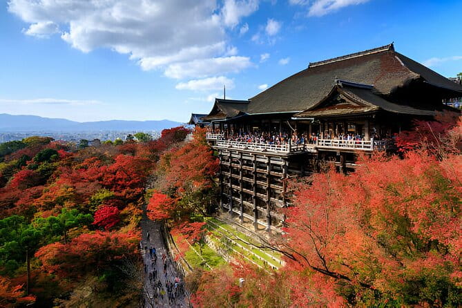 Kyoto Private Tour With Pick and Drop - Positive Customer Experiences