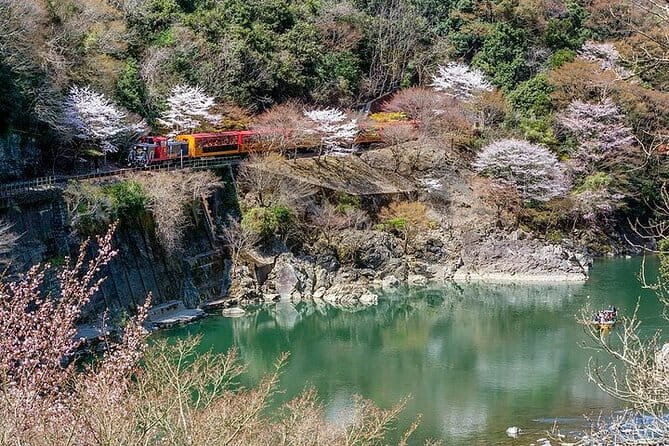 Kyoto Sagano Romantic Train With Cherry Blossoms Bus Tour - Key Points