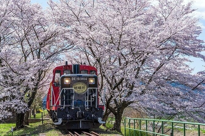 Kyoto Sagano Romantic Train With Cherry Blossoms Bus Tour - Meeting Point and Departure Details