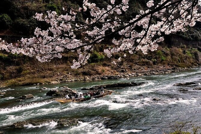 Kyoto Sagano Romantic Train With Cherry Blossoms Bus Tour - Accessibility and Safety Regulations