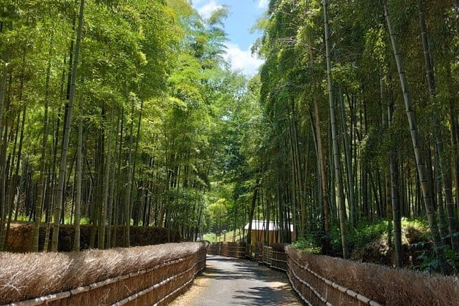 Kyoto Sakura & Hidden Gems of Timeless Tradition - Culinary Delights: Lunch Included