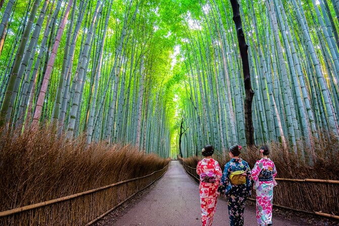 Kyoto Sansen-In Arashiyama Train 1 Day Tour From Osaka or Kyoto - Key Points