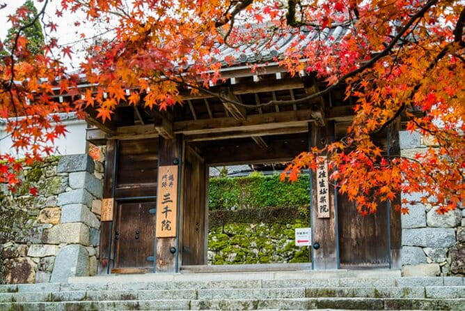 Kyoto Sansen-In Arashiyama Train 1 Day Tour From Osaka or Kyoto - Inclusions and Exclusions