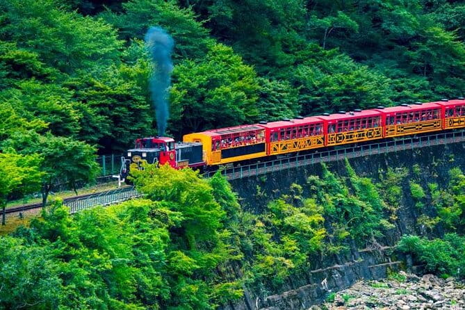 Kyoto Sansen-In Arashiyama Train 1 Day Tour From Osaka or Kyoto - Health and Safety Guidelines