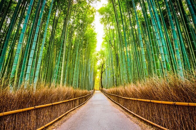 Kyoto Sansen-In Arashiyama Train 1 Day Tour From Osaka or Kyoto - Itinerary and Travel Logistics