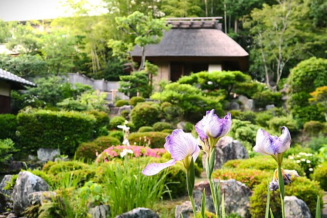 Kyoto Shogun Cycling Tour - Highlights