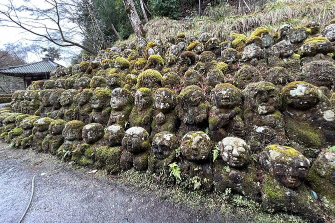 Kyoto Shore Excursion From Osaka With Japanese Guide - What to Expect During the Excursion