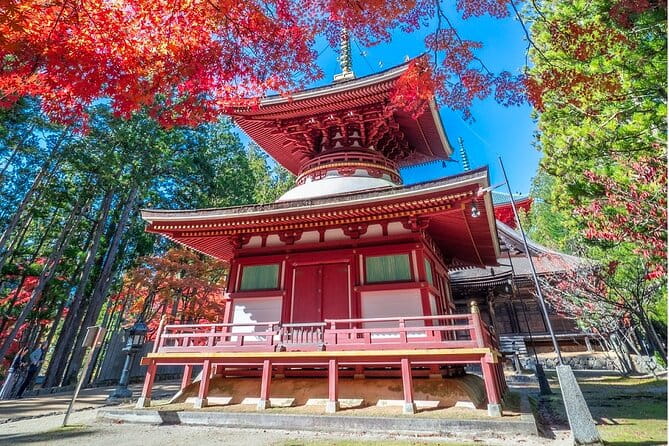 Kyoto to Mt. Koya One Day Walking Tour - Walking Tour Itinerary